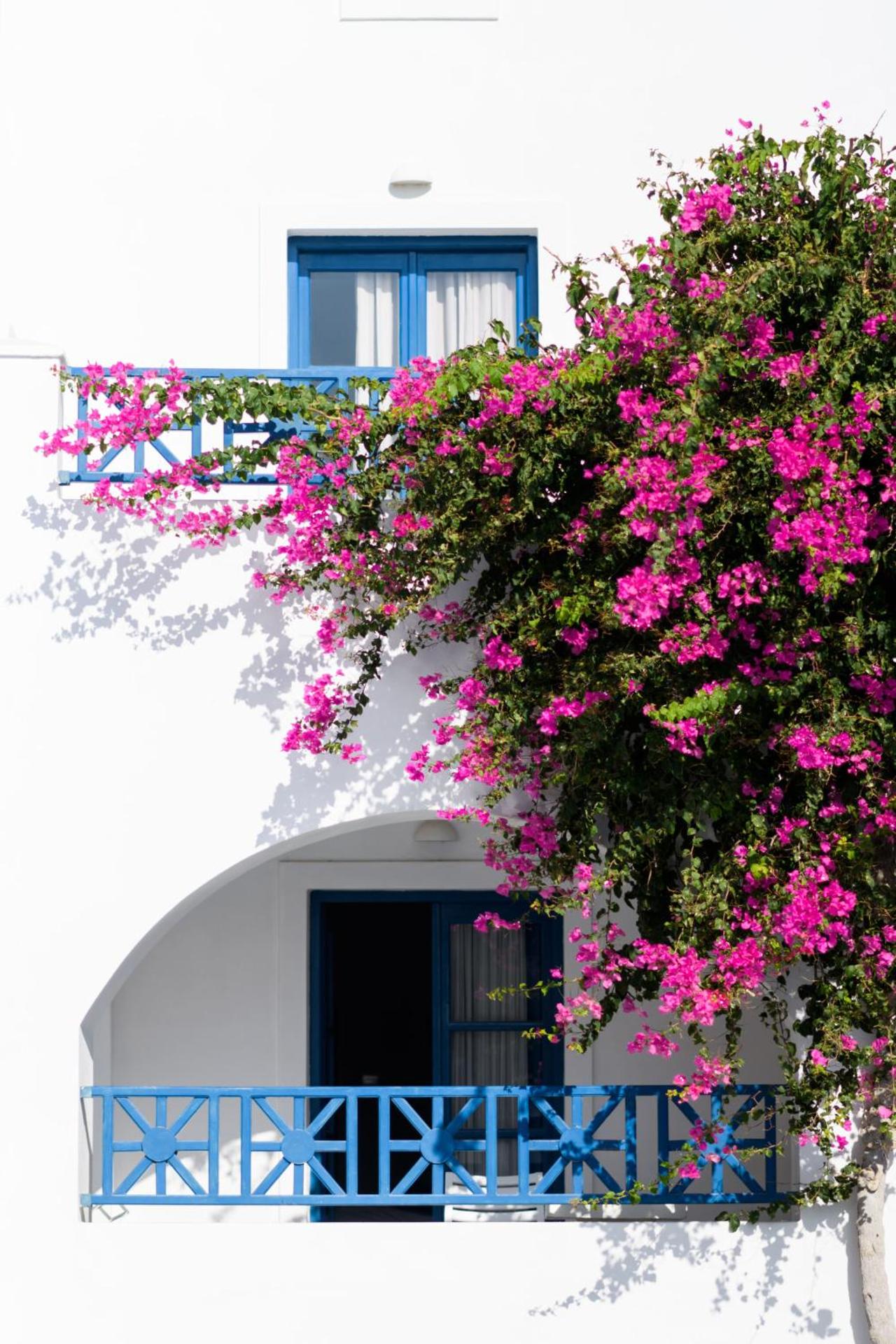 Veggera Beach Hotel - Photo 183