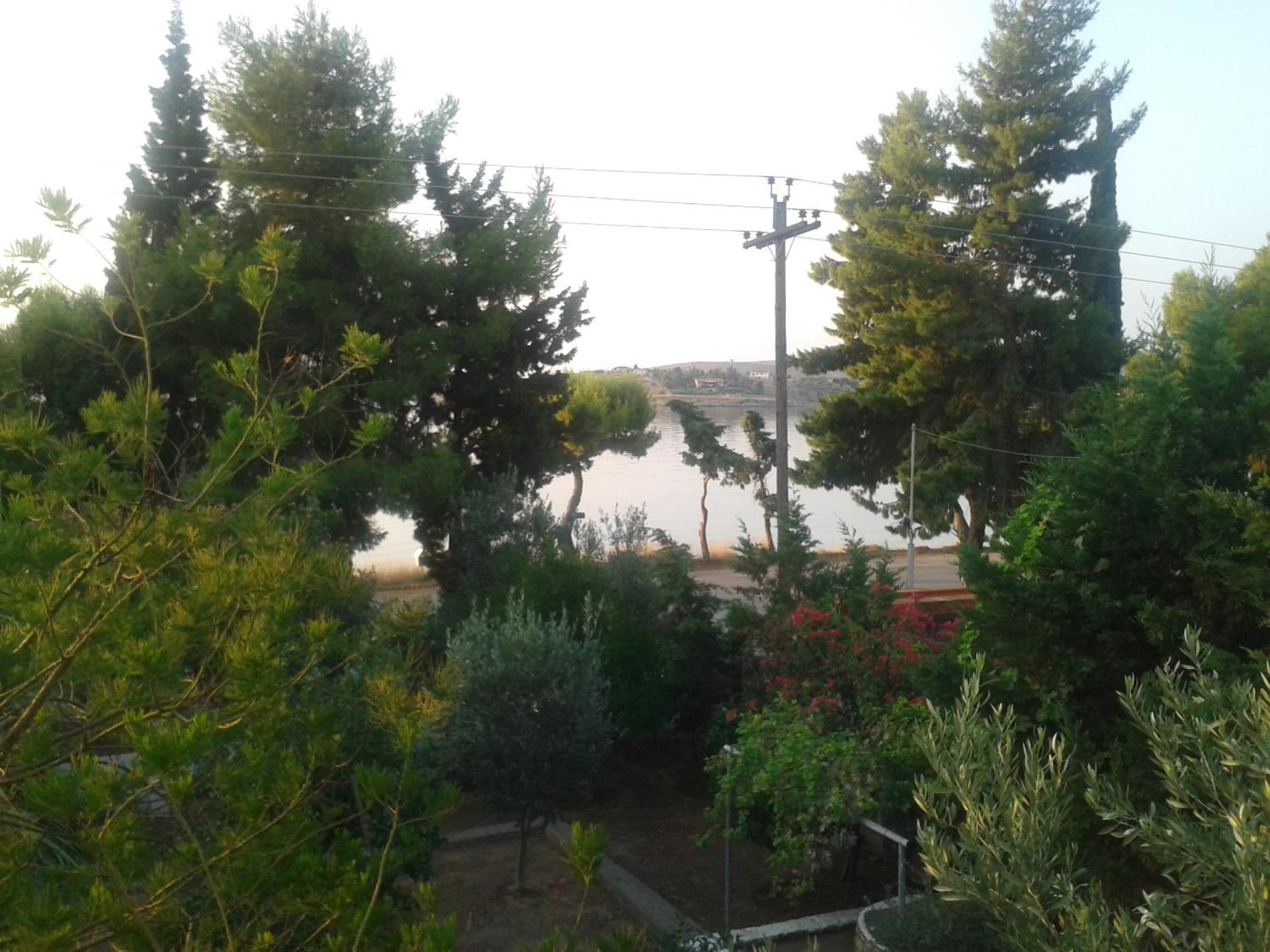 Elea Guesthouse - Photo 68