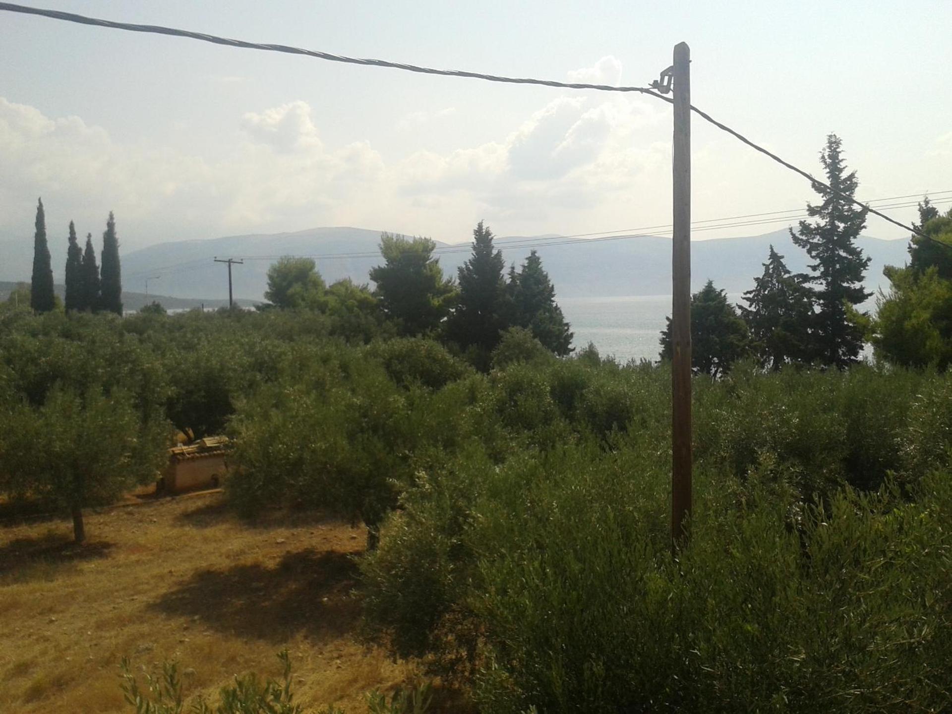 Elea Guesthouse - Photo 67