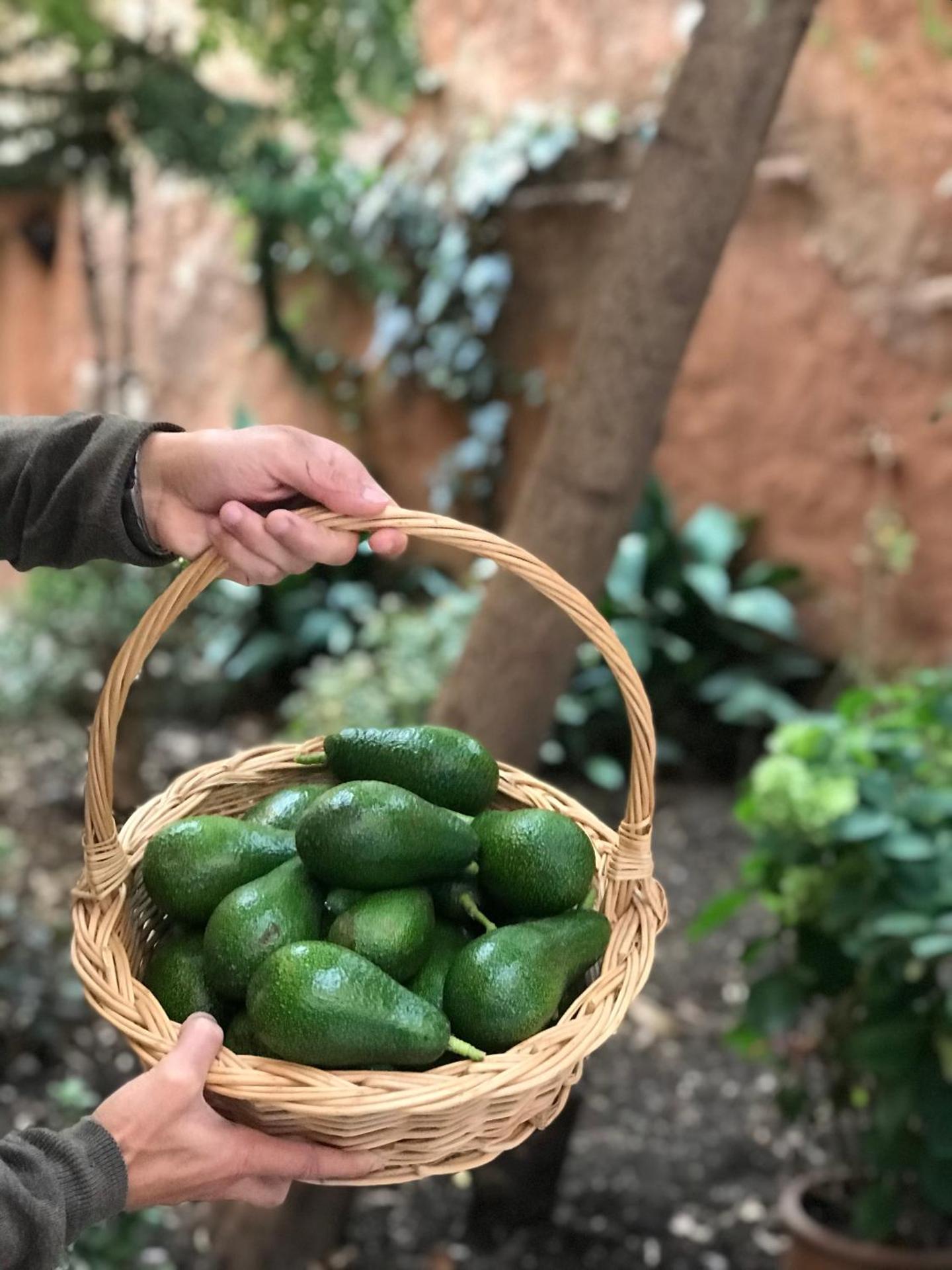 Dar Dadicilef - Photo 23