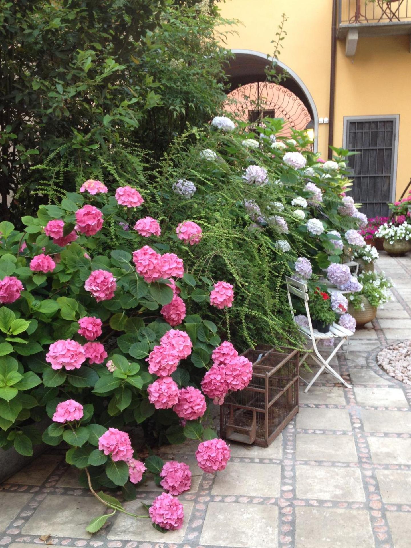 Albergo Residence Perosi - Photo 35