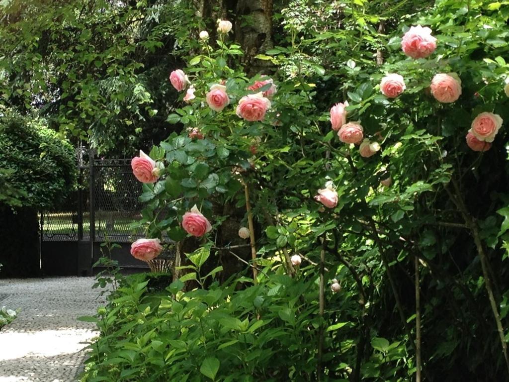 Casa Cuniolo Guest House - Photo 35