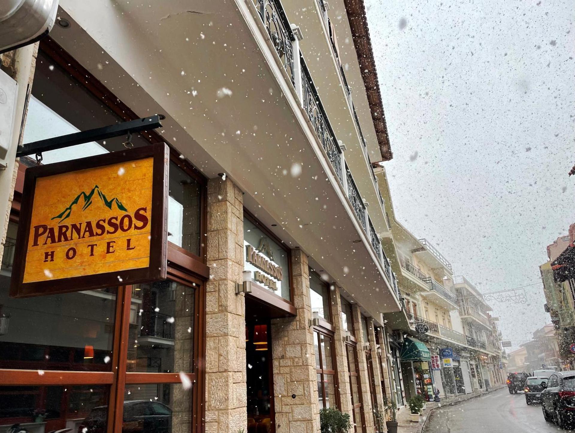 Parnassos Delphi Hotel - Photo 135