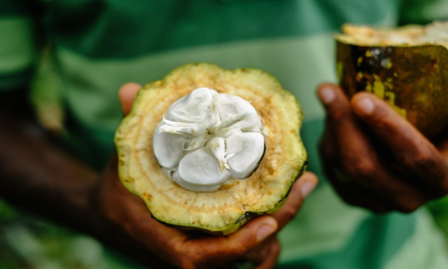 Omali São Tomé - Photo 35