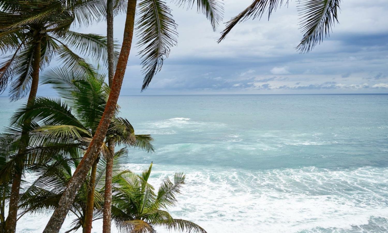 Omali São Tomé - Photo 43