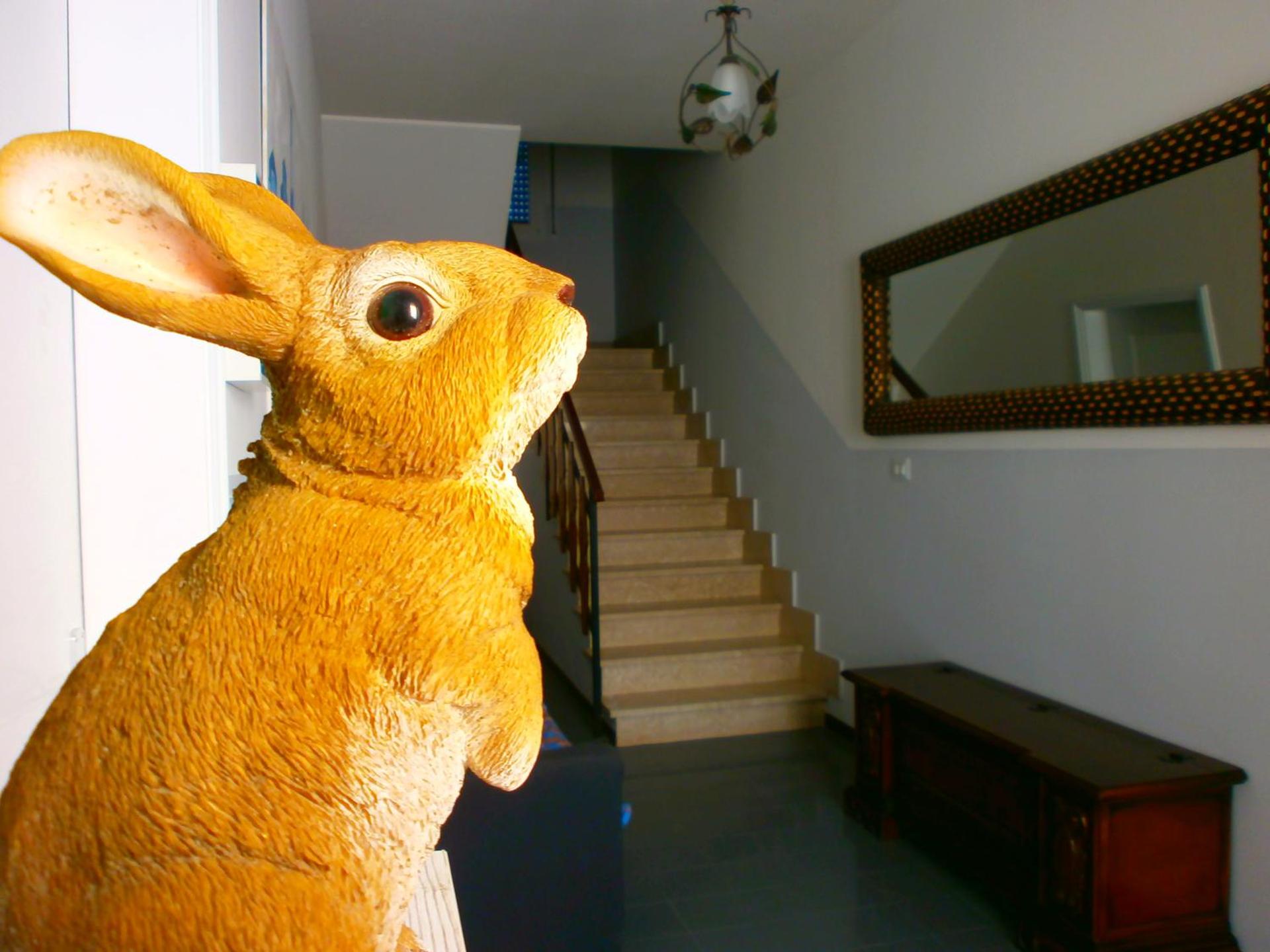 Il Leprotto - Room & Breakfast - Photo 50