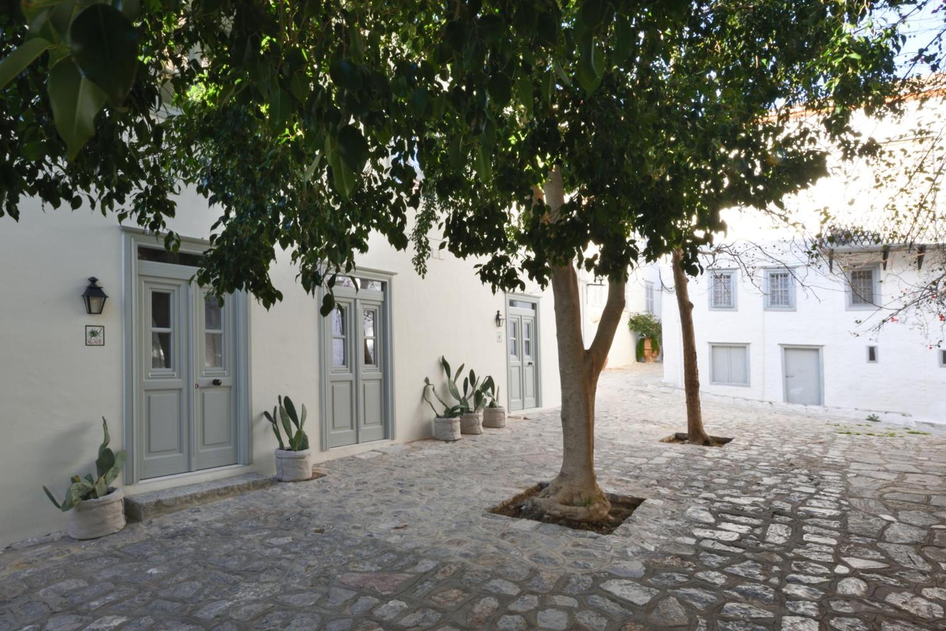 Cactus Hydra - Art Apartments - Photo 41