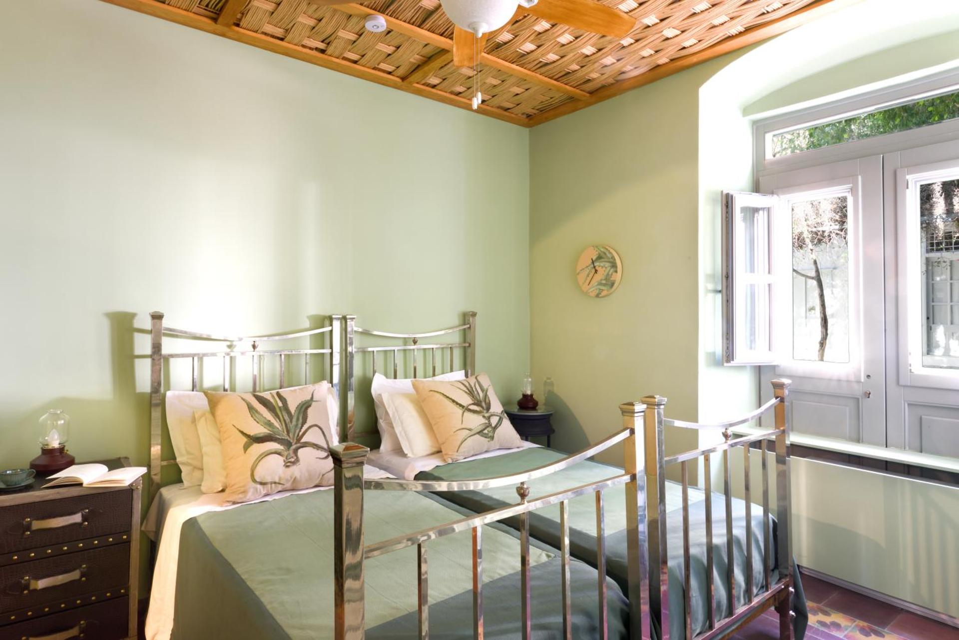 Cactus Hydra - Art Apartments - Photo 63