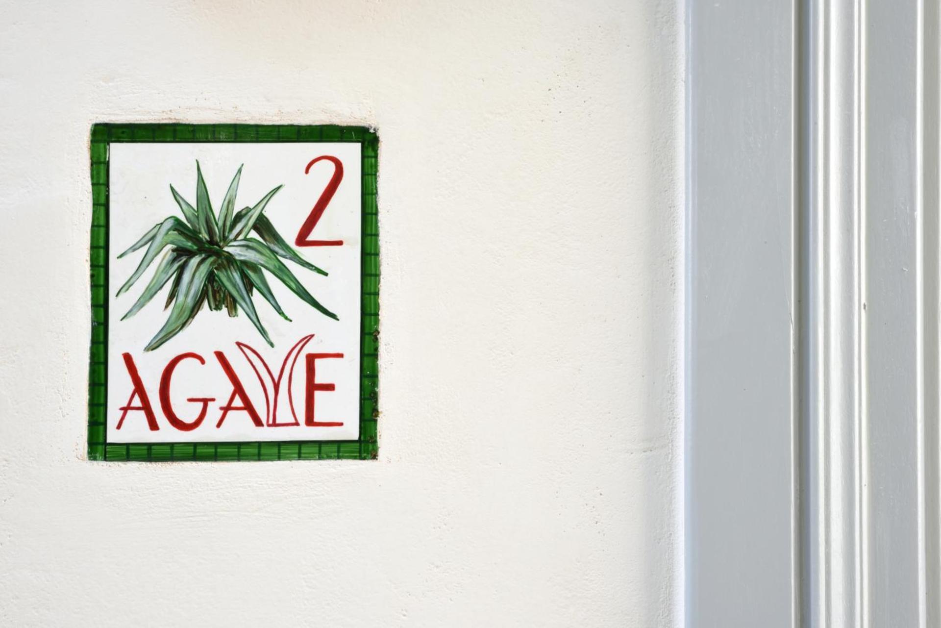 Cactus Hydra - Art Apartments - Photo 20