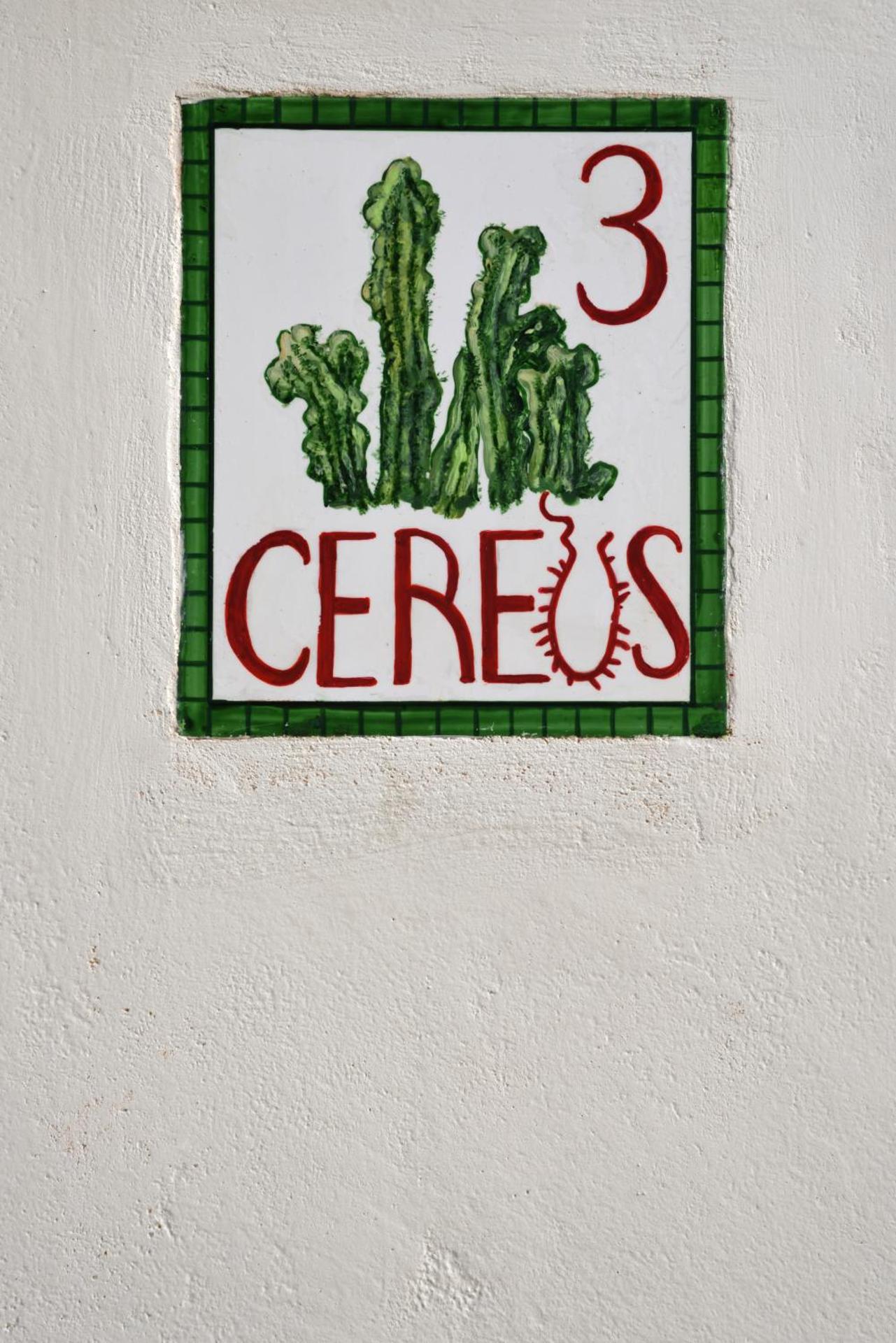 Cactus Hydra - Art Apartments - Photo 26