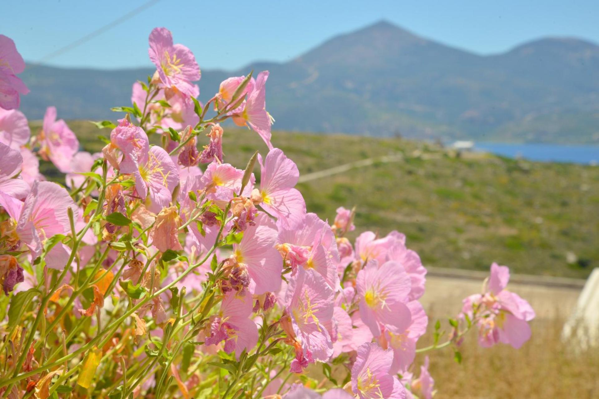 Trypiti Sea View Apartment - Photo 82