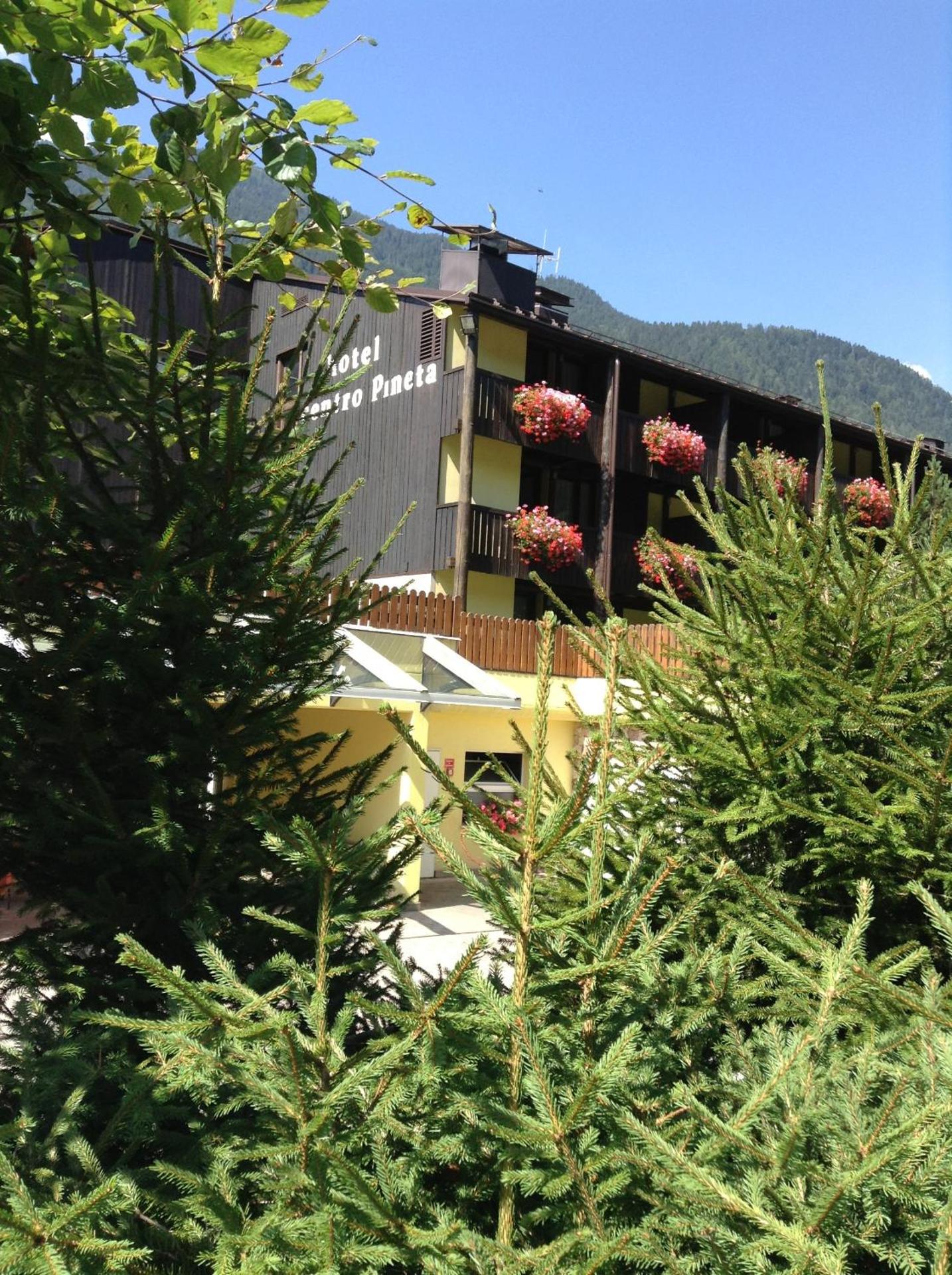Centro Pineta Family Hotel & Wellness - Photo 89