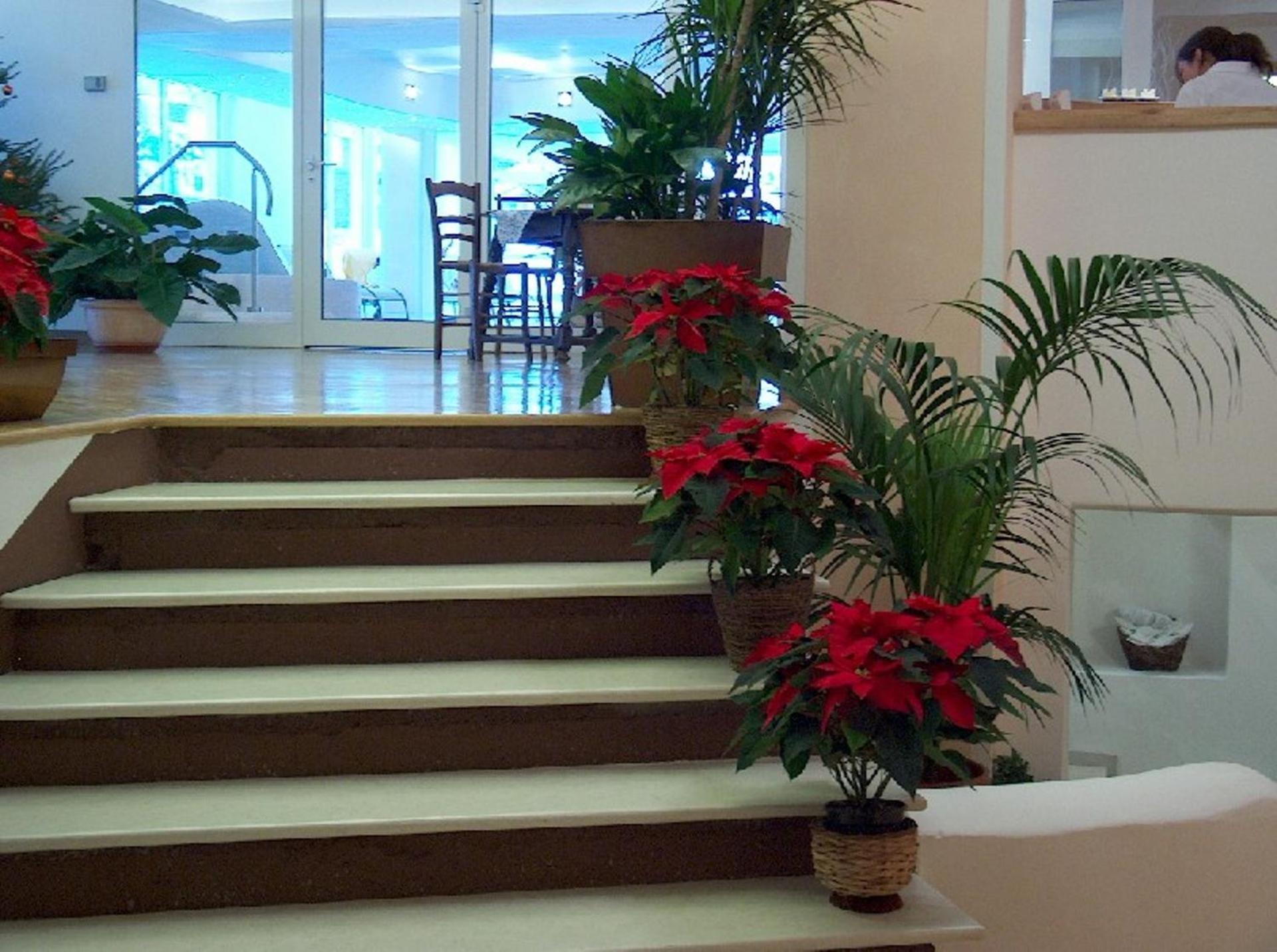 Centro Pineta Family Hotel & Wellness - Photo 111