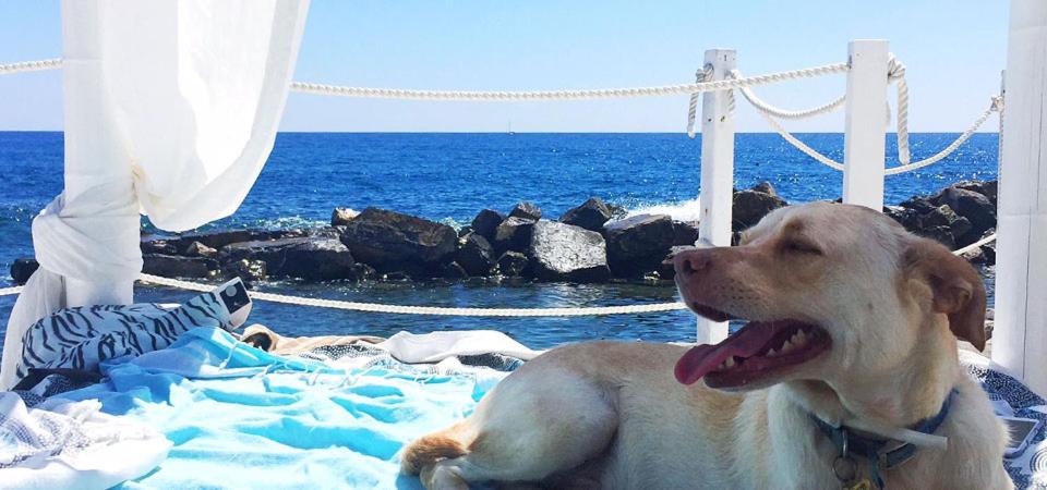 Hotel Kristina - Photo 31