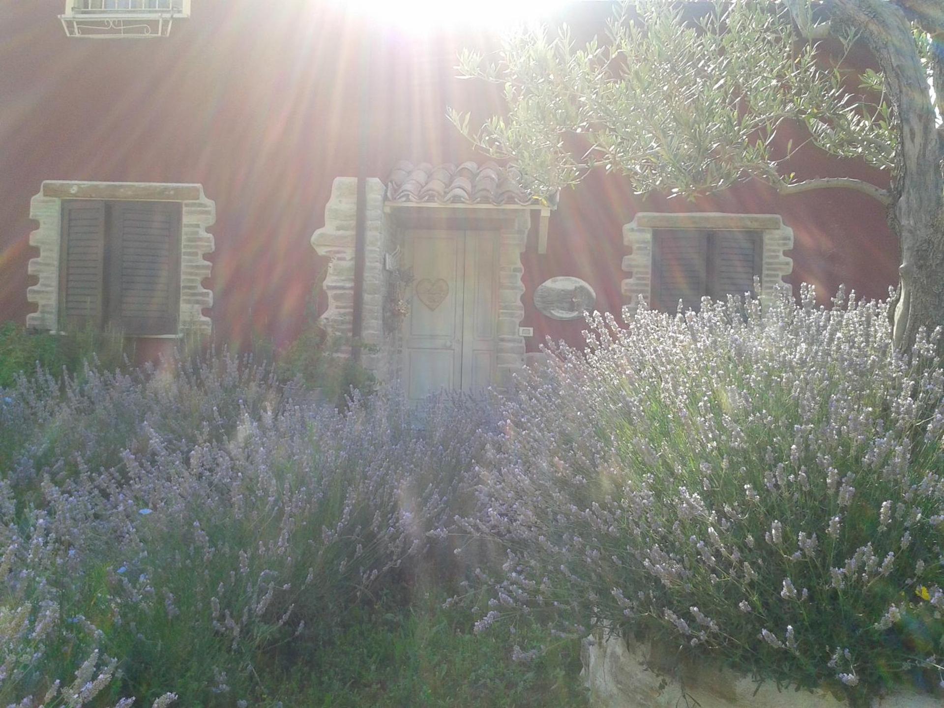 B&B Fonte Cugno - Photo 30