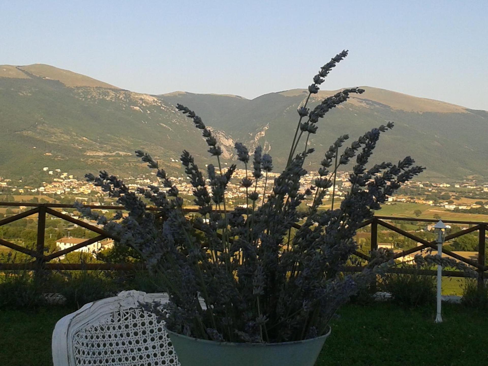 B&B Fonte Cugno - Photo 38