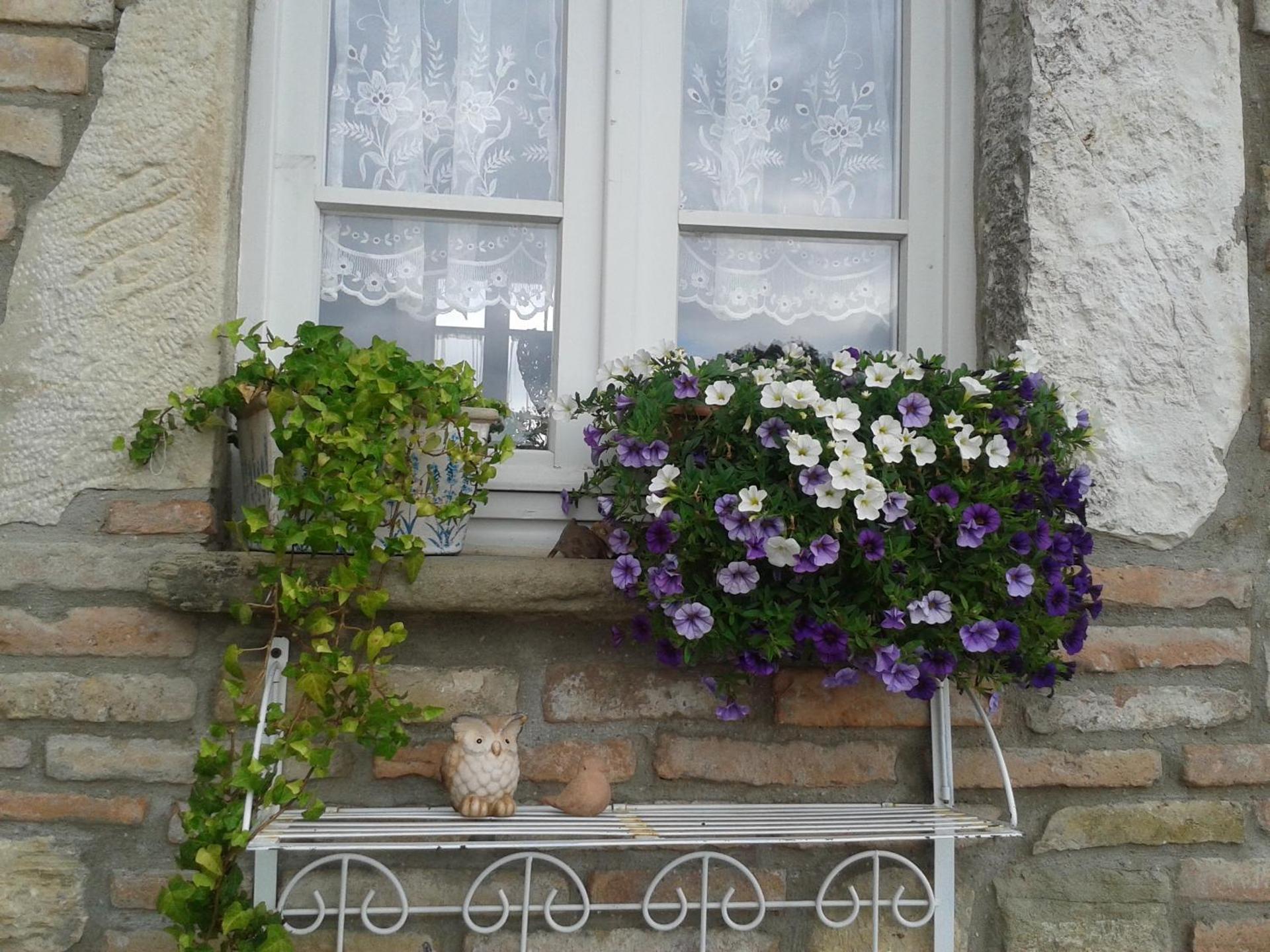 B&B Fonte Cugno - Photo 40