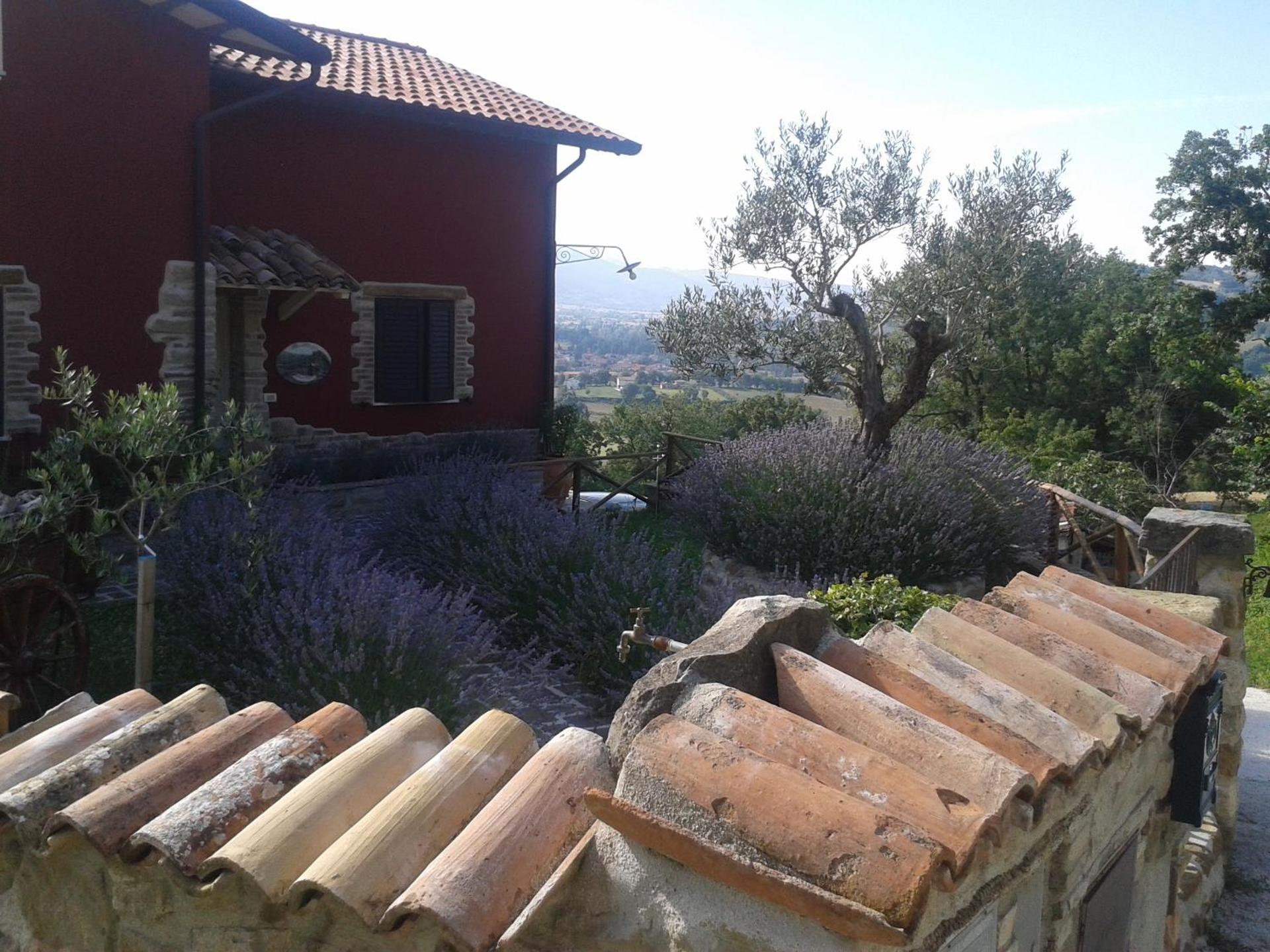 B&B Fonte Cugno - Photo 23