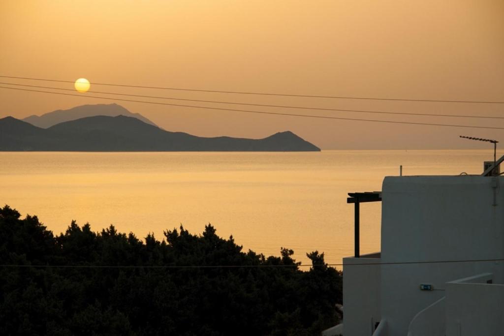 Akrothalassia - Photo 97