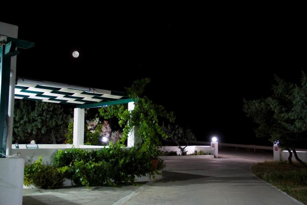 Akrothalassia - Photo 101