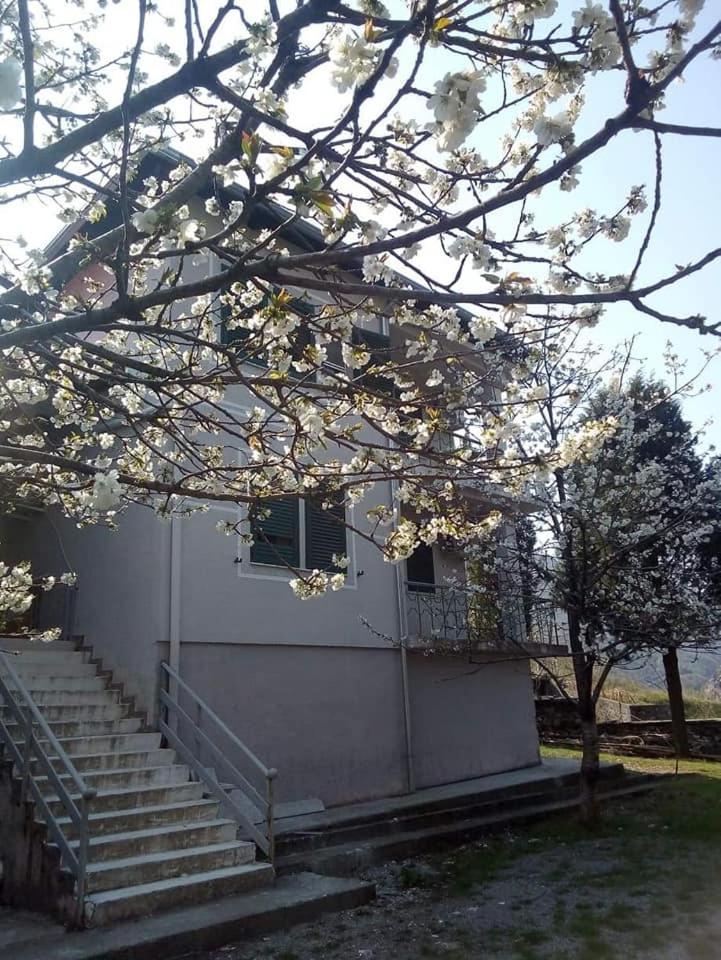 Agroturizem Hotel Vila Franceze - Photo 30