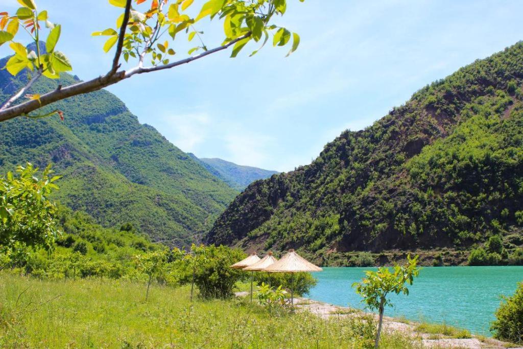 Agroturizem Hotel Vila Franceze - Photo 9