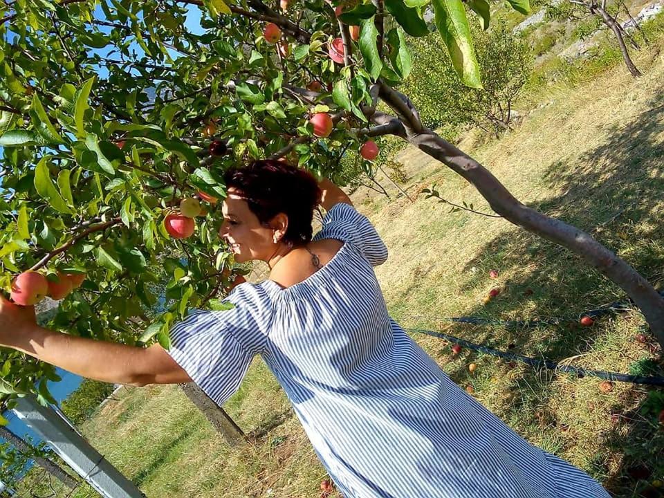 Agroturizem Hotel Vila Franceze - Photo 2