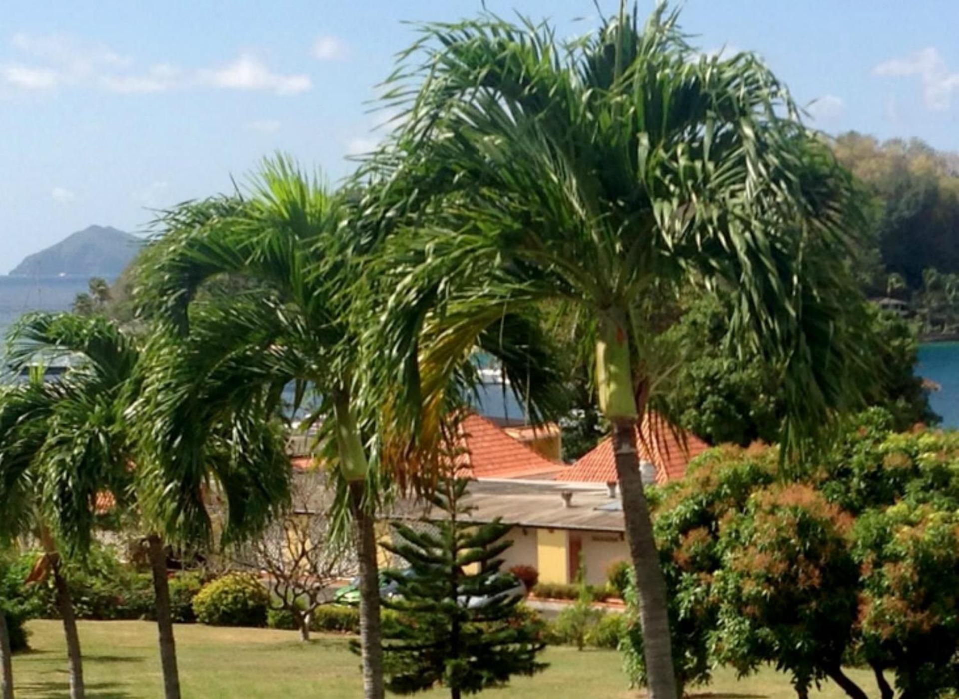 Sunset Shores Beach Hotel - Photo 24