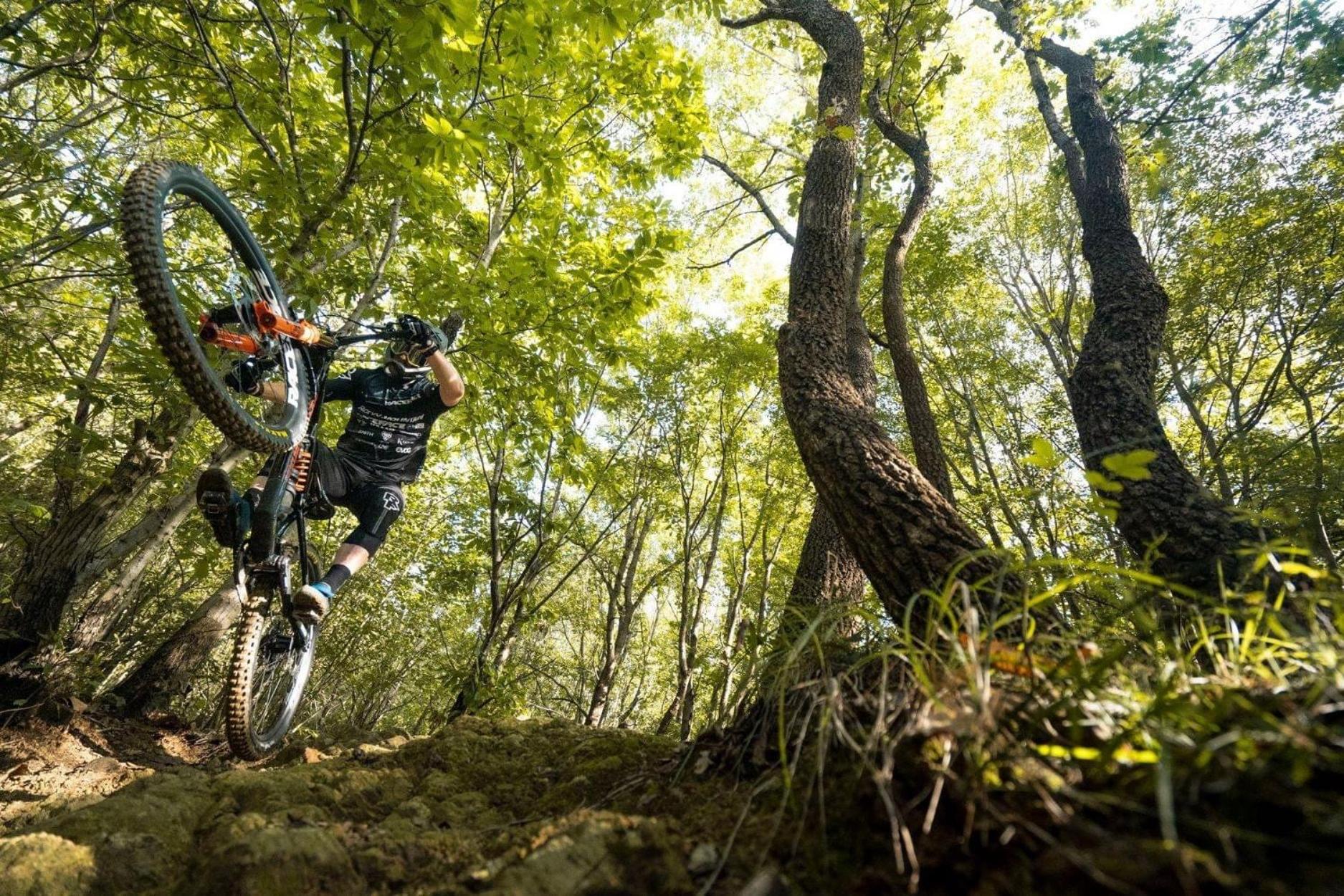 Residence Holidays - Photo 189