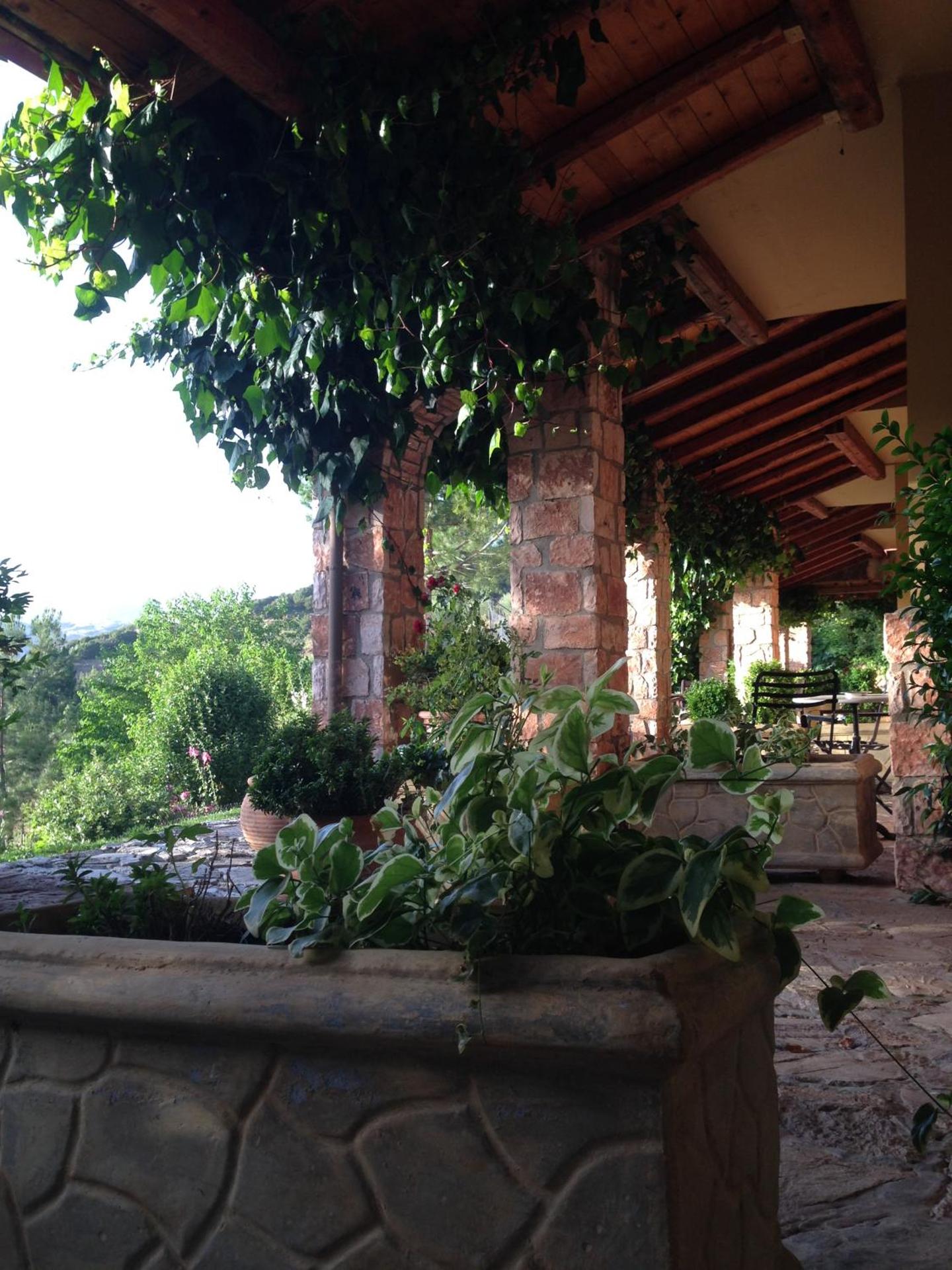 Aphrodite's Inn Kalavrita - Photo 81
