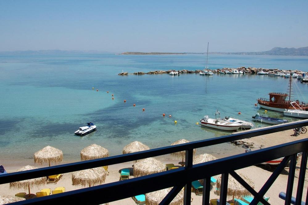 Hotel Alexandra - Photo 31