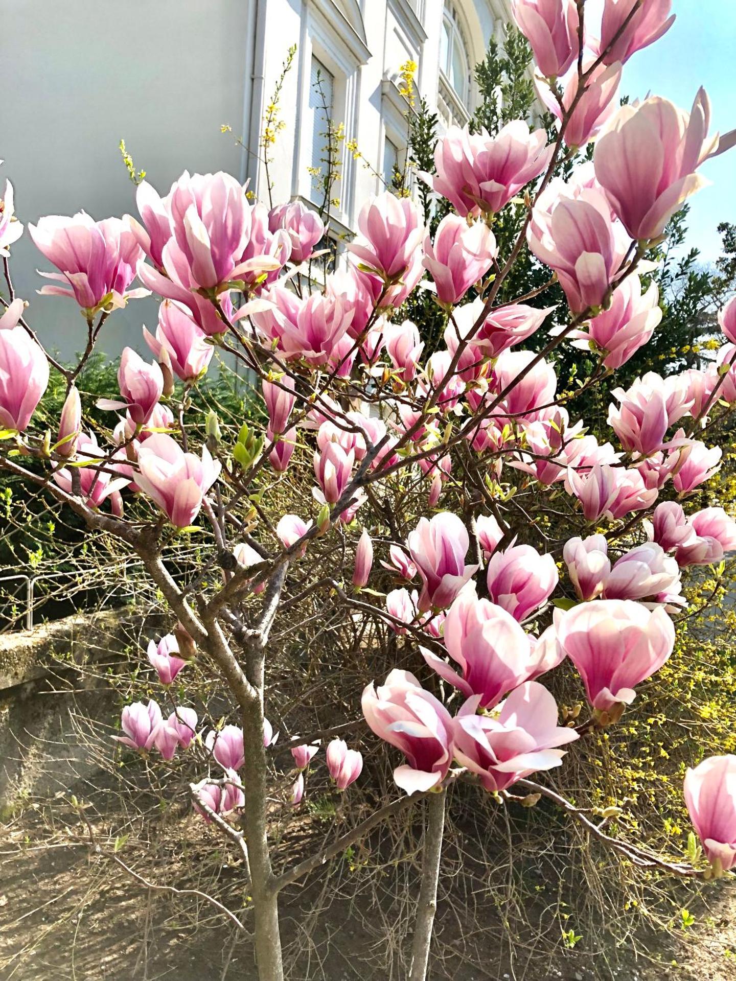 Relais Il Pigno - Photo 172