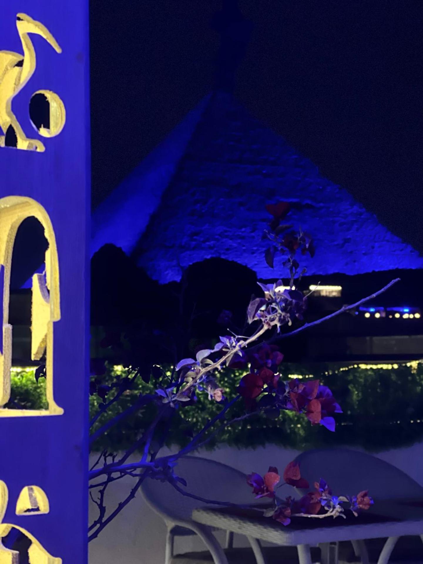 Pyramids Top Inn - Photo 44