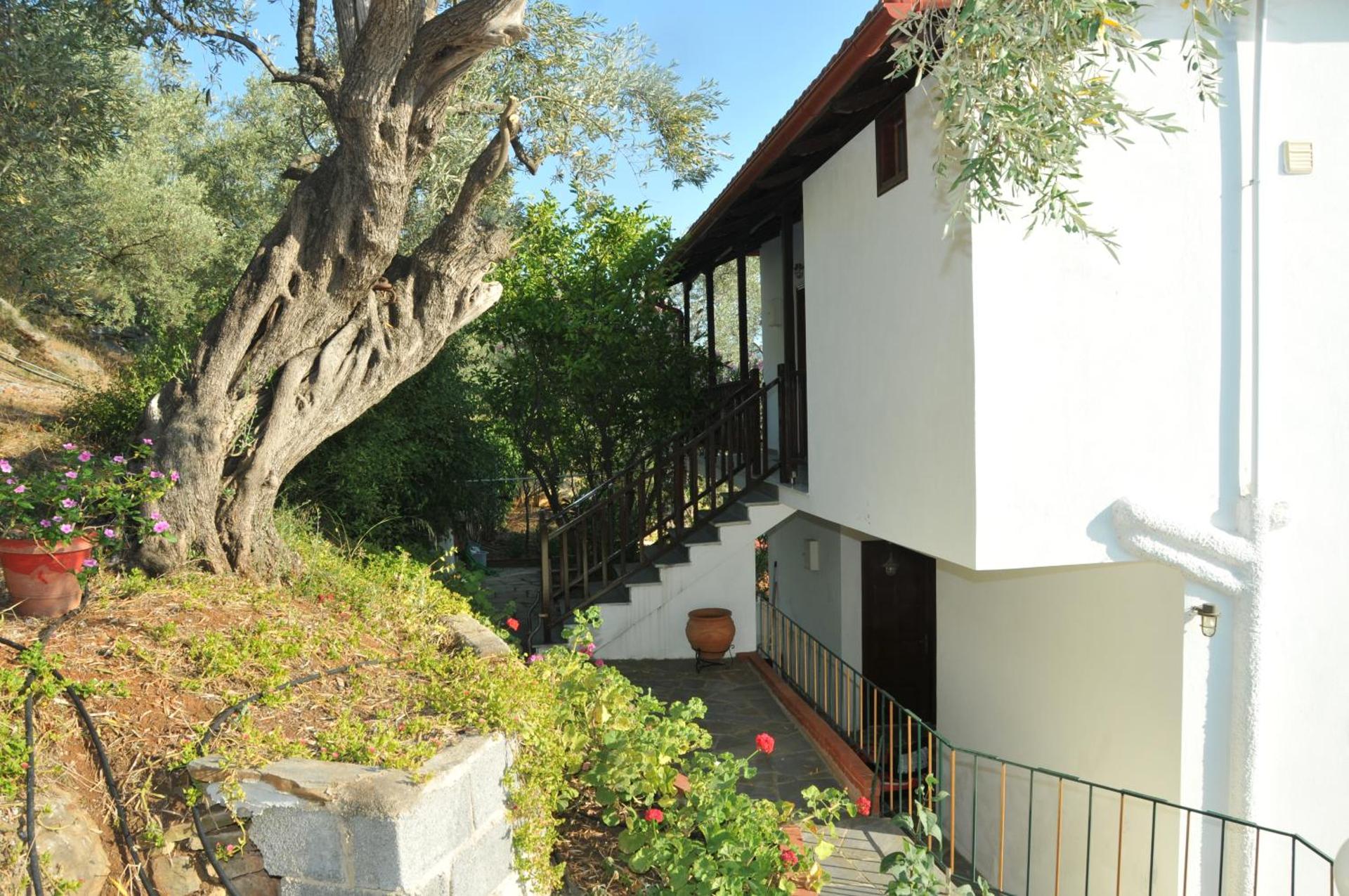 Violetta Studios & Apartments - Photo 63