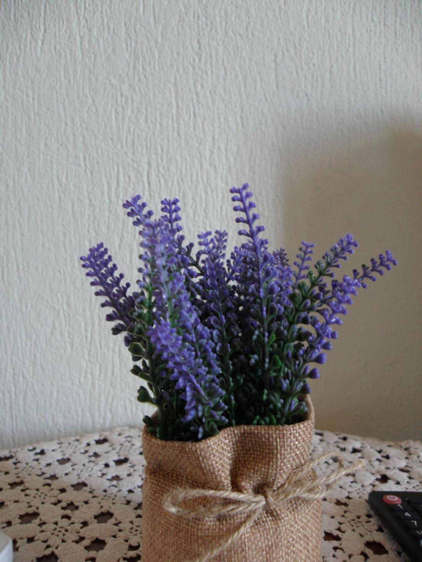 NATURE GUEST HOUSE KASTRAKI - Photo 18