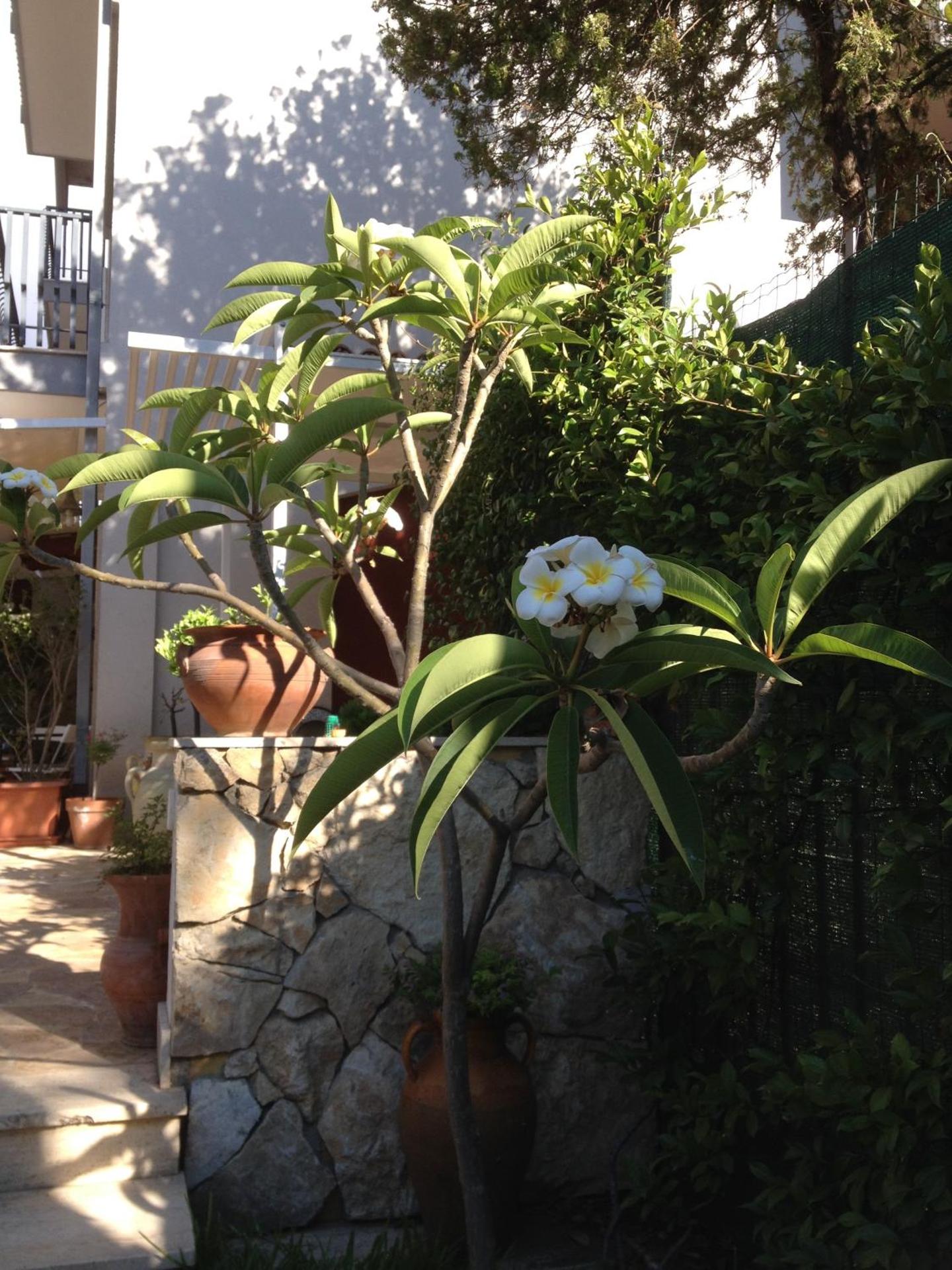 Il Giardino Dei Limoni - Photo 49