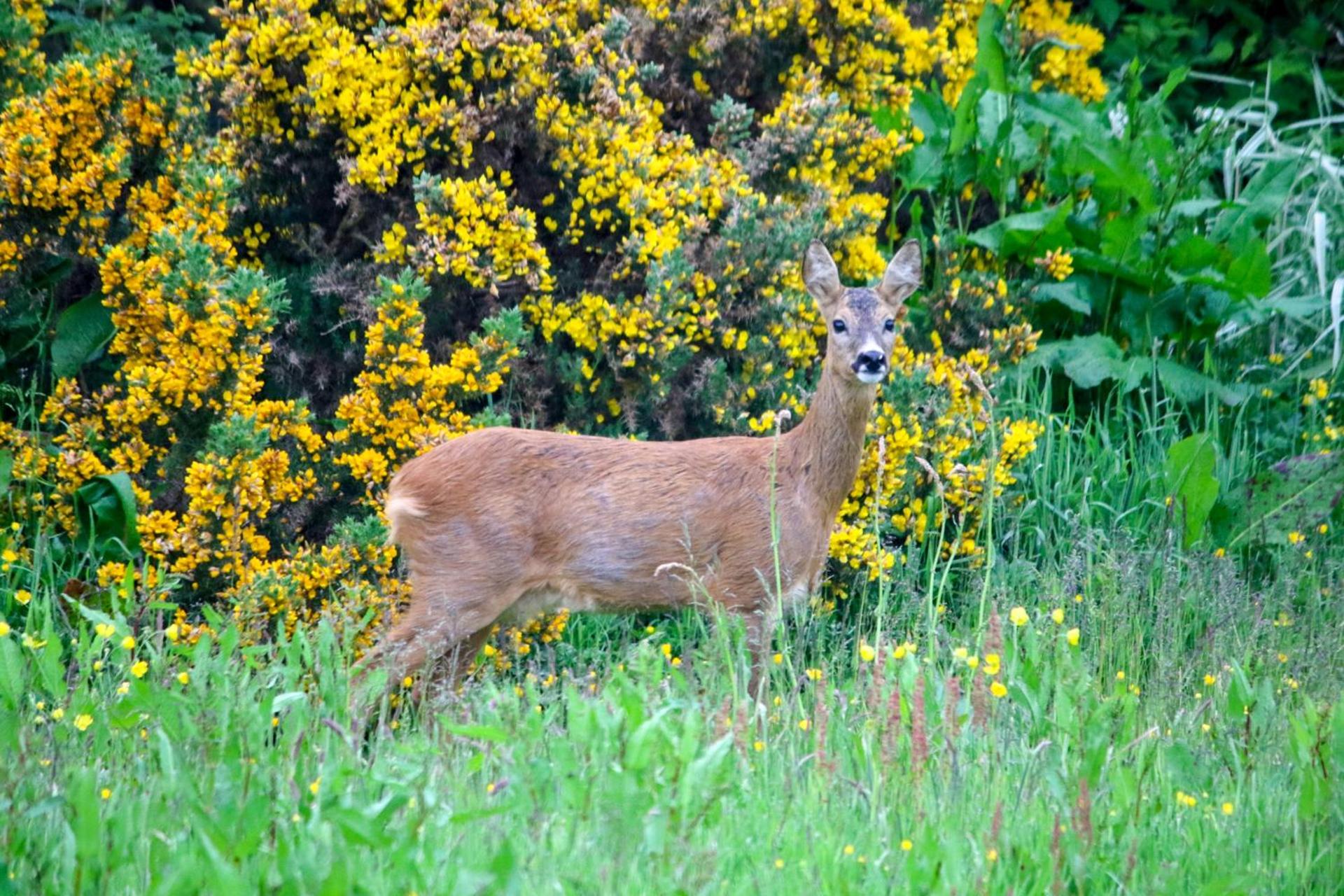 Acarsaid B&B - Photo 4