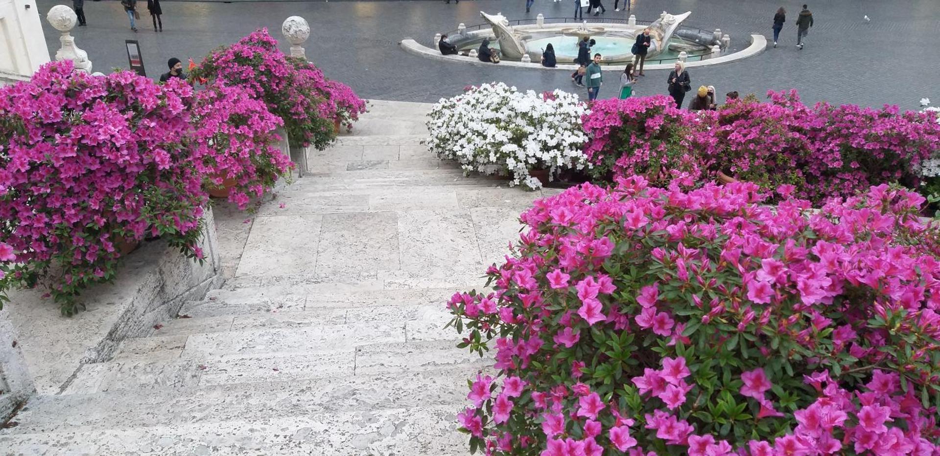 B&B A Home in Rome - Photo 23