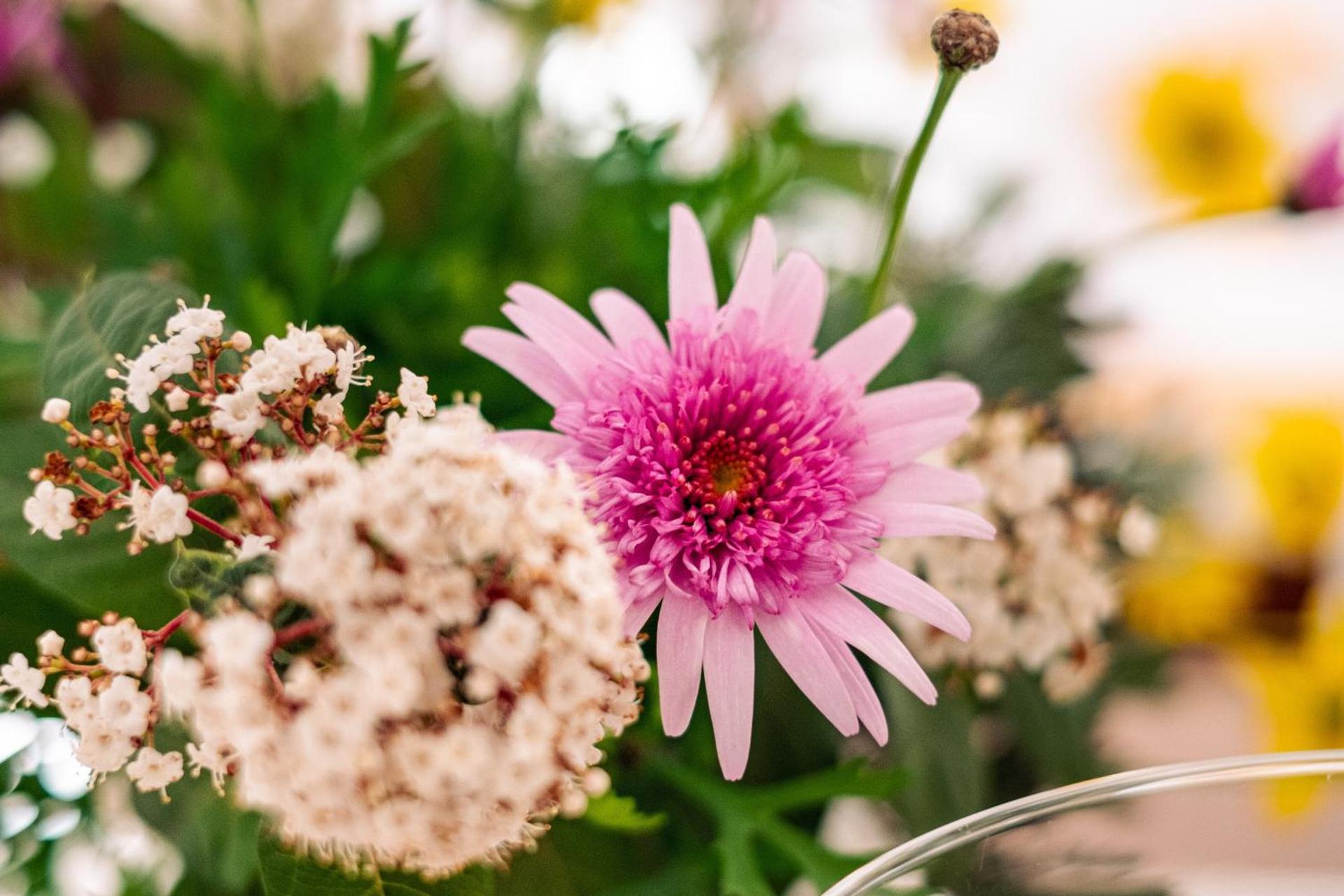 Villa Irene Pisticci-Matera - Photo 72