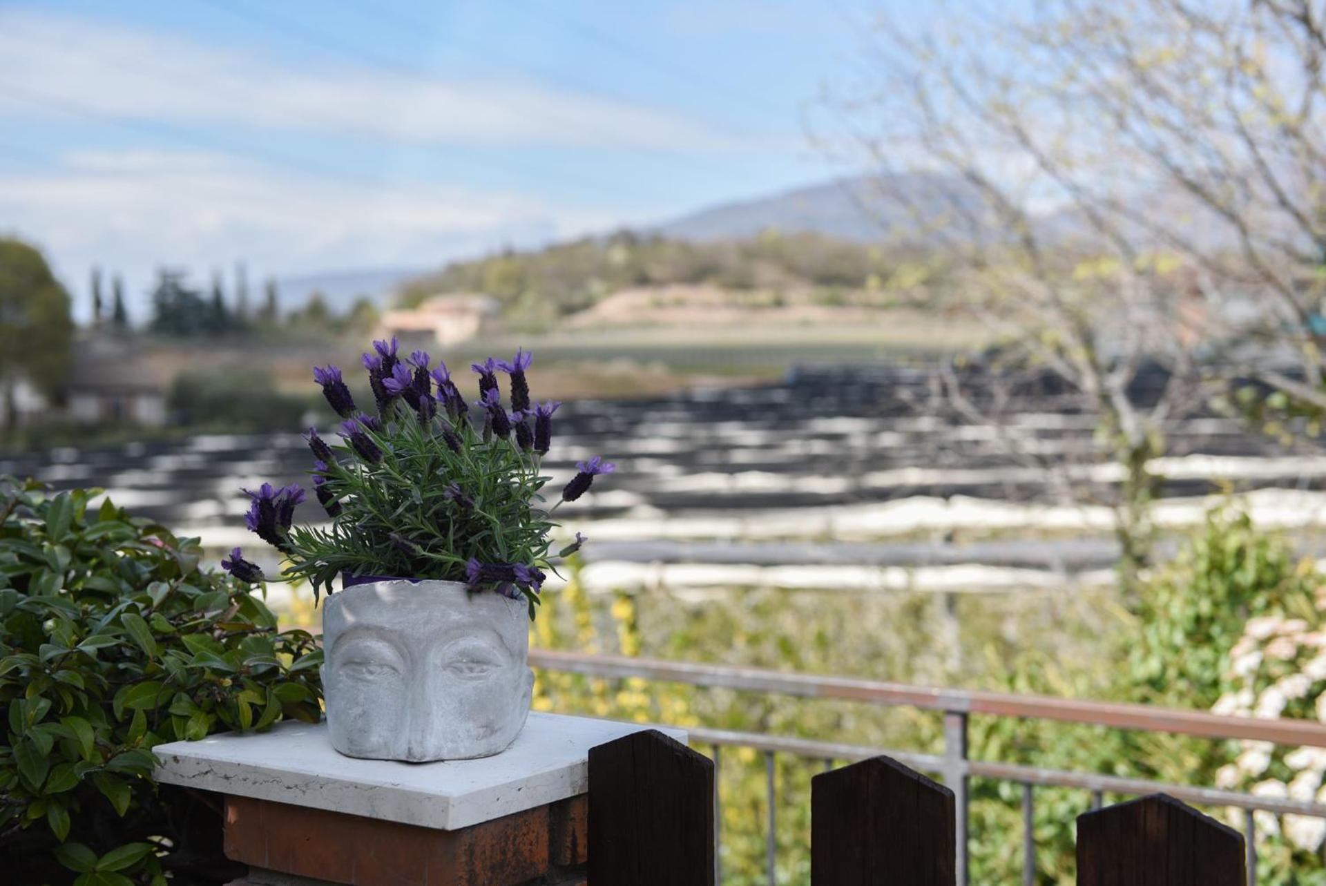 Relais Il Pigno - Photo 49