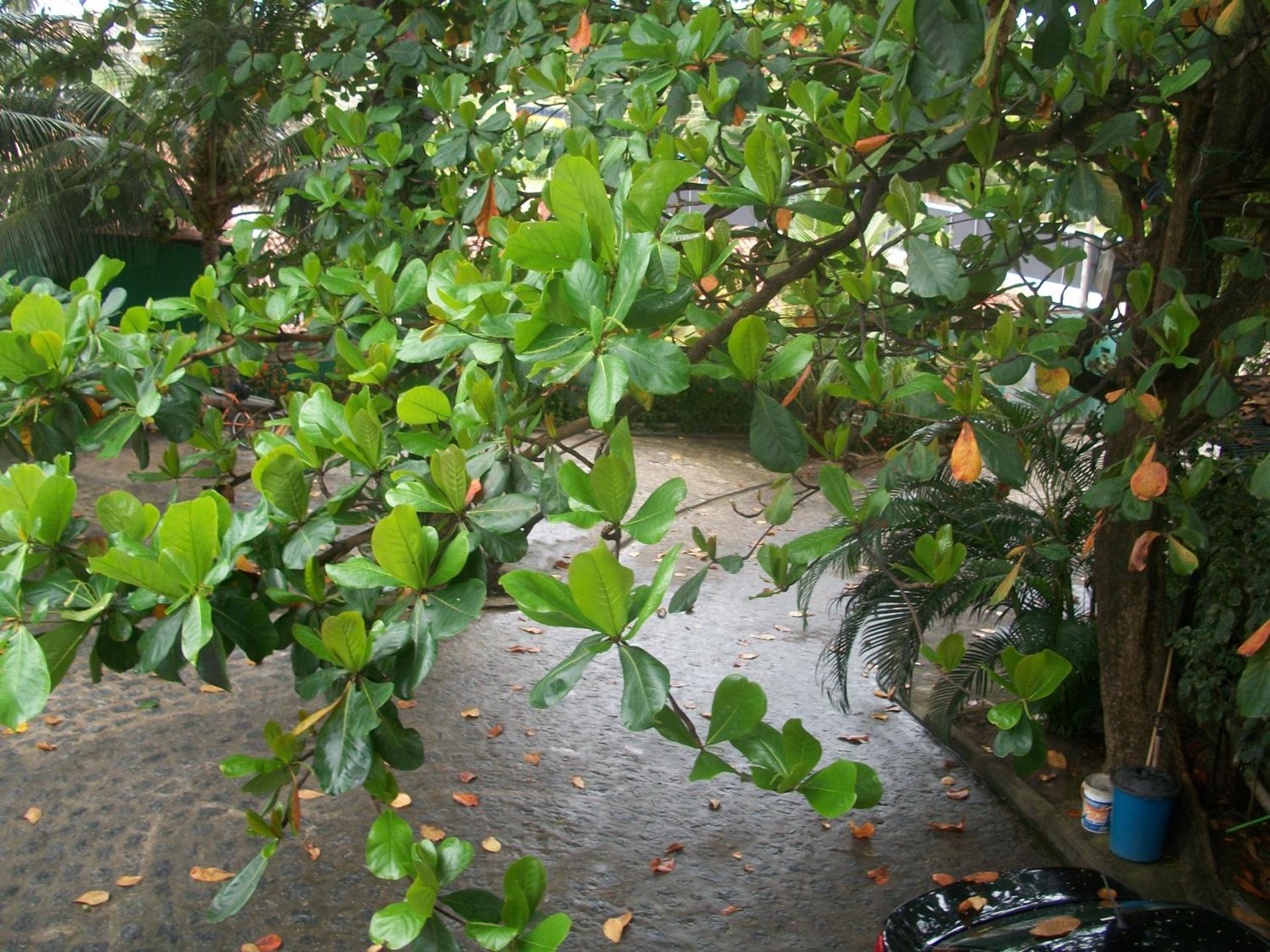 Pousada Ricardinho do Frances - Photo 35