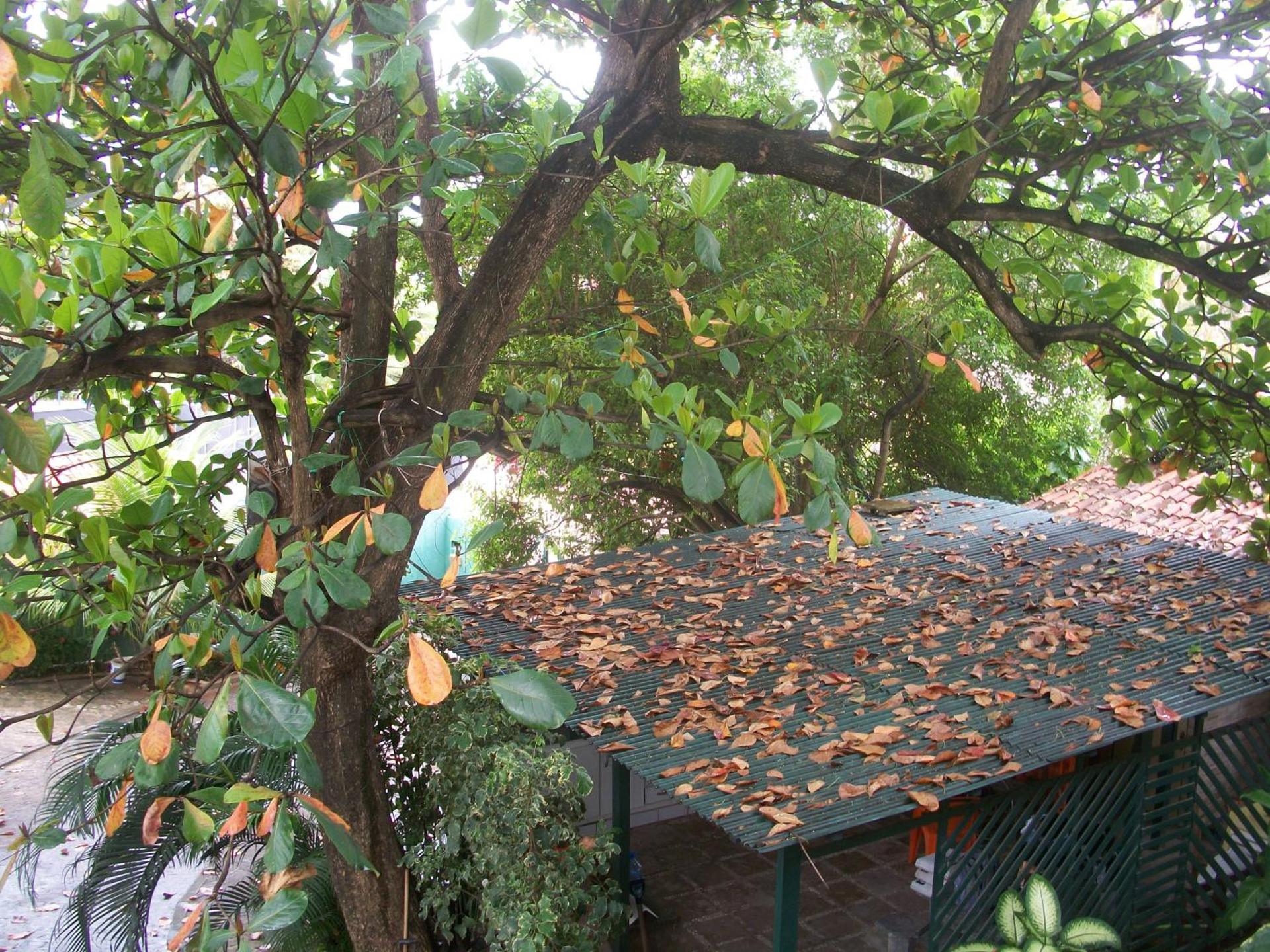 Pousada Ricardinho do Frances - Photo 37