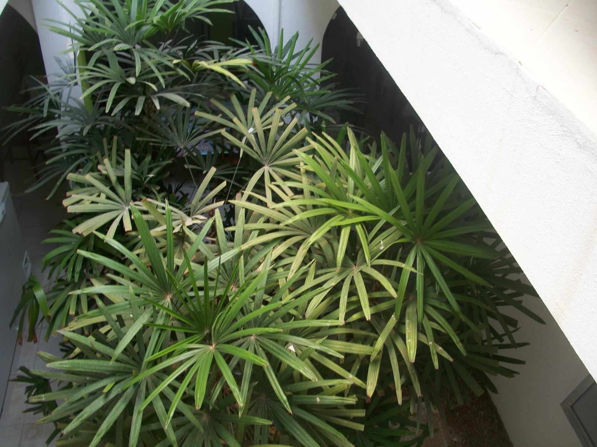 Pousada Ricardinho do Frances - Photo 50