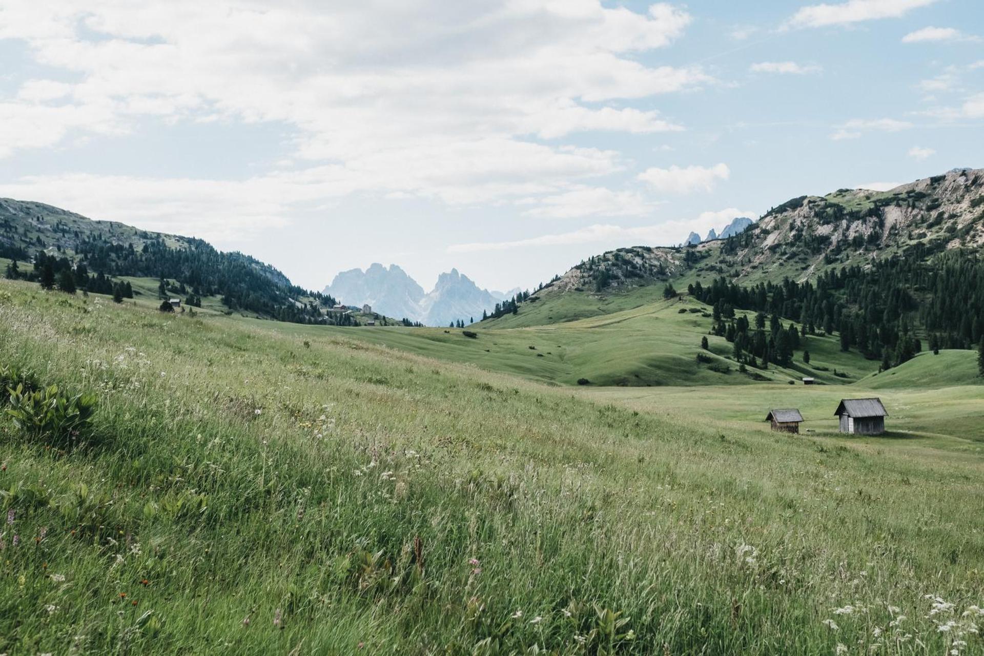 Hotel Rudolf - Photo 80