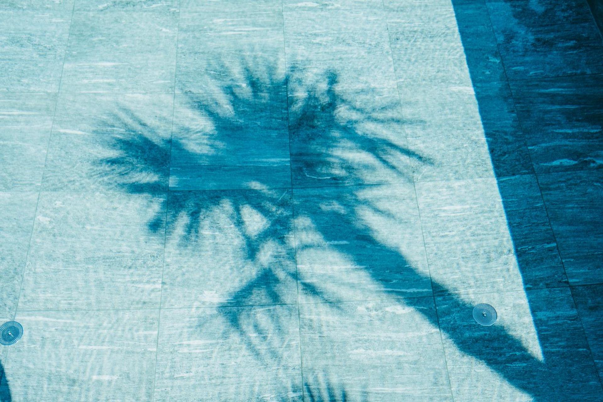 Hotel Rudolf - Photo 111