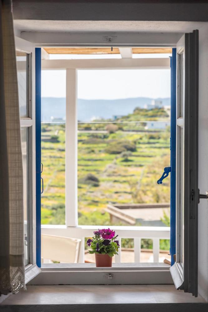 Sofaki Milos - Photo 17