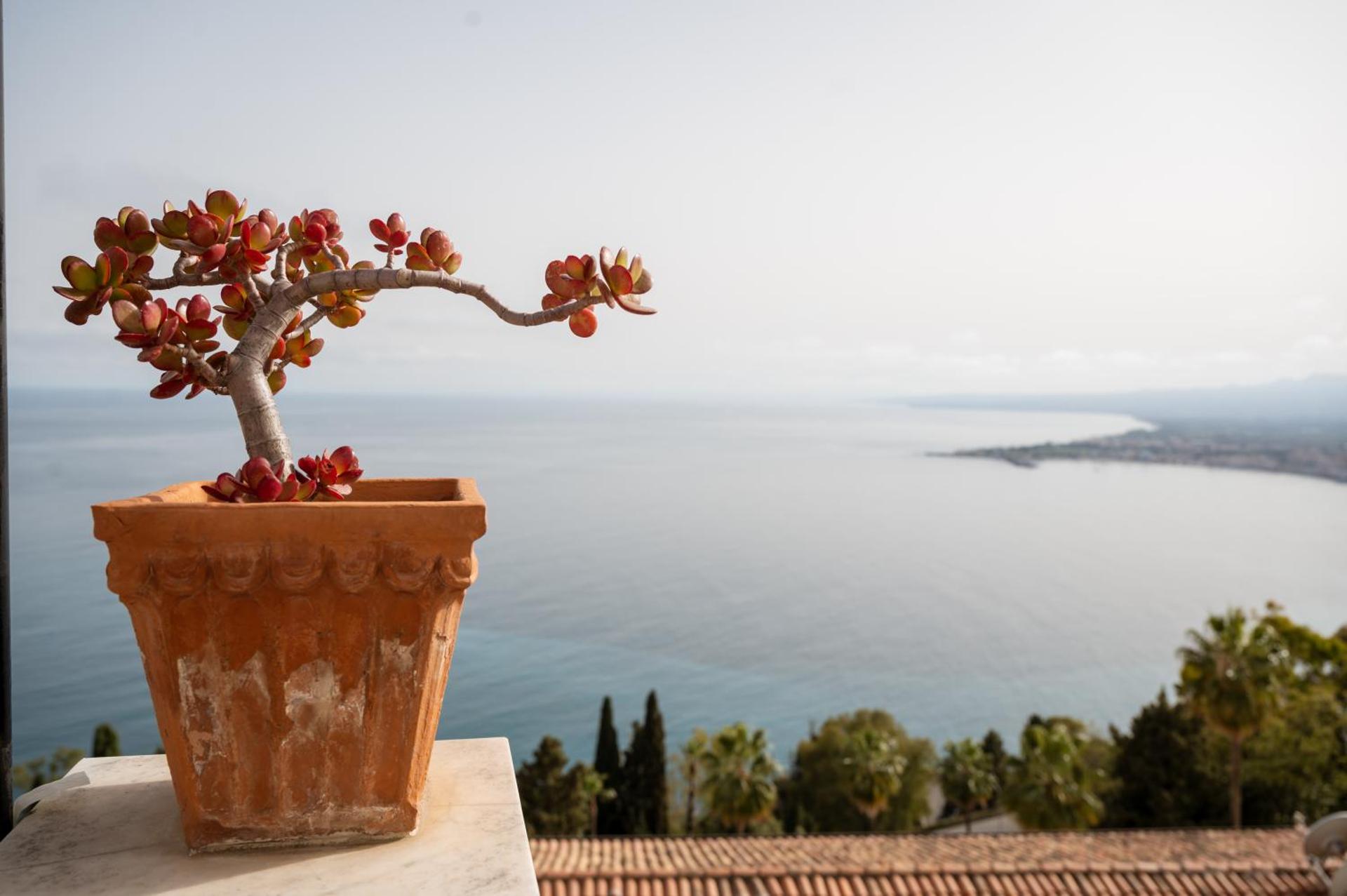 Hotel Elios Tao - Photo 198