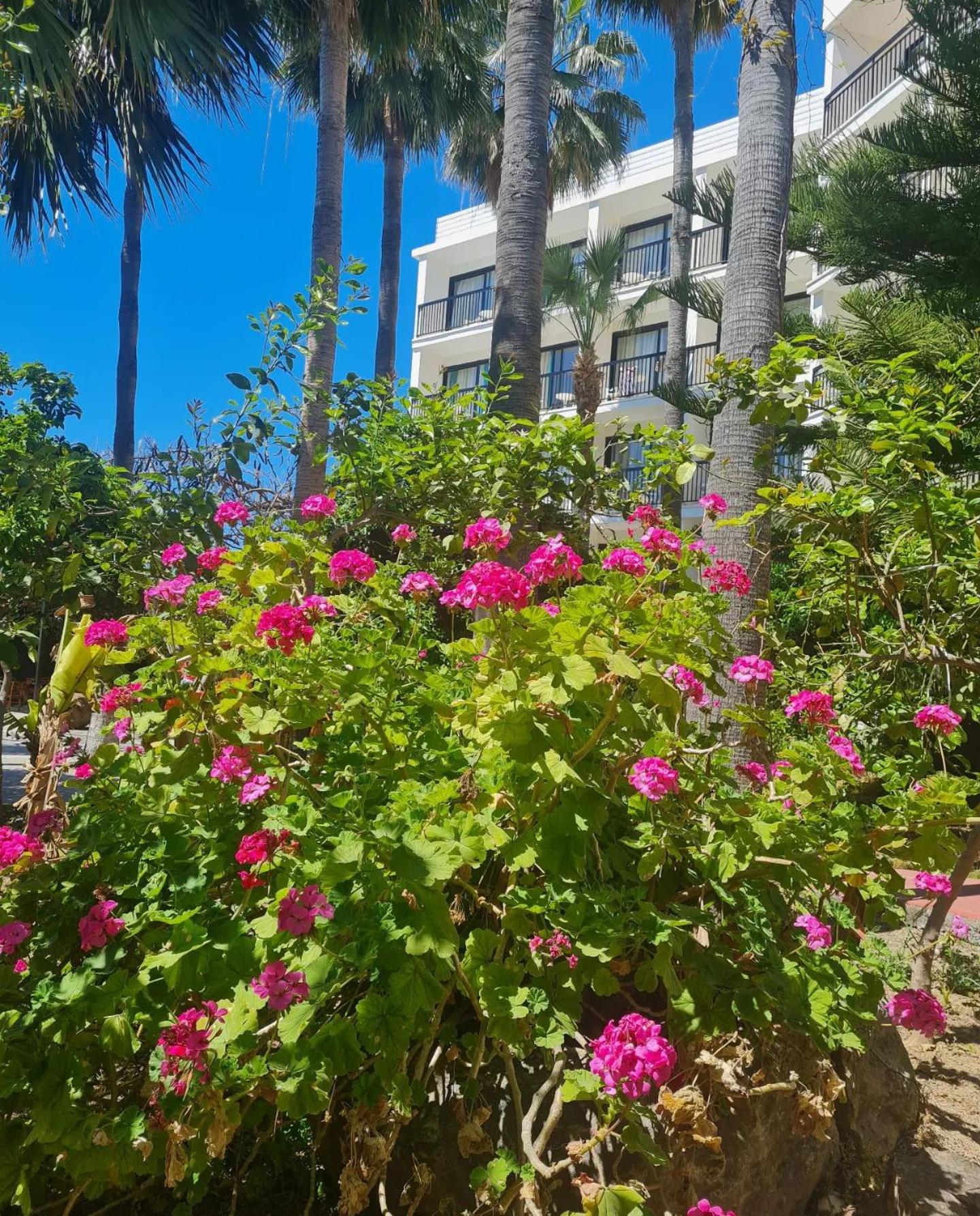 Veronica Hotel - Photo 12