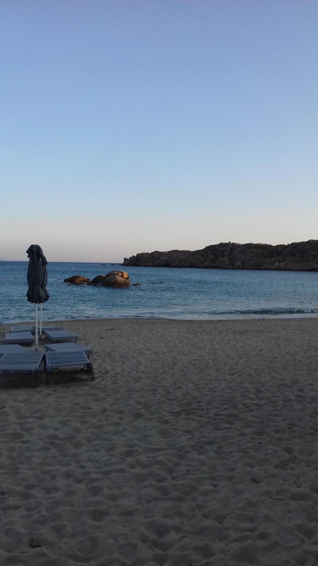 Paraga View - Photo 15