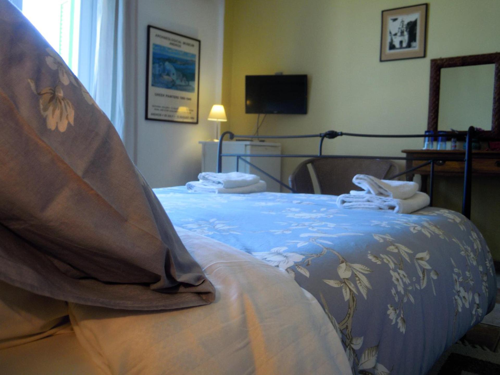 Blue Dolphin - Photo 14